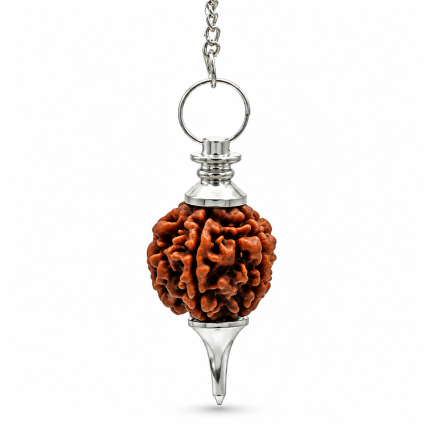 Péndulo de rudraksha con semilla marrón, punta y cadena de acabado plateado